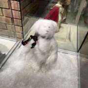 ヒメ日記 2025/04/23 18:16 投稿 フウカ ラブコレクション