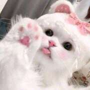 ヒメ日記 2025/05/24 17:01 投稿 フウカ ラブコレクション