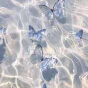 ヒメ日記 2025/06/05 21:31 投稿 フウカ ラブコレクション