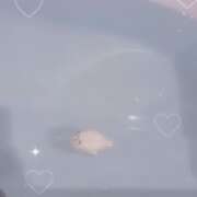 ヒメ日記 2025/11/20 01:16 投稿 フウカ ラブコレクション