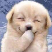 ヒメ日記 2026/01/25 11:31 投稿 フウカ ラブコレクション