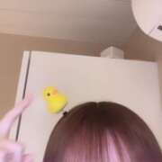 ヒメ日記 2026/04/08 16:01 投稿 フウカ ラブコレクション