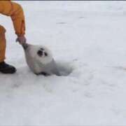 ヒメ日記 2026/08/04 04:46 投稿 フウカ ラブコレクション