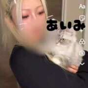 ヒメ日記 2025/10/03 19:48 投稿 アイミ ソープランド マックス