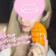 ヒメ日記 2026/03/03 23:46 投稿 アイミ ソープランド マックス