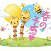 ヒメ日記 2026/03/26 12:43 投稿 アイミ ソープランド マックス