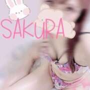 ヒメ日記 2025/02/18 11:31 投稿 桜(さくら) 難波泡洗体ハイブリッドエステ