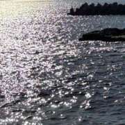 ヒメ日記 2024/12/13 10:39 投稿 フウ AMOUR（アムール）