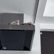 ヒメ日記 2025/05/30 12:32 投稿 フウ AMOUR（アムール）