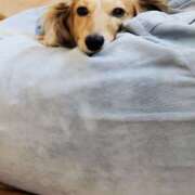 ヒメ日記 2025/07/01 16:31 投稿 川島 誘惑マル秘ミセス