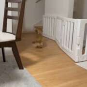 ヒメ日記 2025/07/04 10:00 投稿 川島 誘惑マル秘ミセス