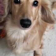 ヒメ日記 2025/07/18 05:41 投稿 川島 誘惑マル秘ミセス