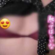 ヒメ日記 2025/02/14 12:38 投稿 はる 京都人妻花壇