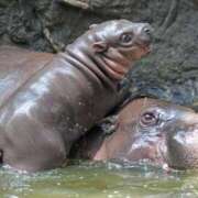 ヒメ日記 2025/09/04 08:20 投稿 はる 京都人妻花壇