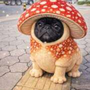 ヒメ日記 2025/12/25 13:03 投稿 はる 京都人妻花壇