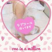 ヒメ日記 2025/05/31 08:43 投稿 あん 京都人妻花壇