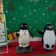 ヒメ日記 2024/12/21 13:34 投稿 ななせ 素人妻御奉仕倶楽部Hip's松戸店