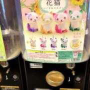 ヒメ日記 2024/12/30 14:46 投稿 ななせ 素人妻御奉仕倶楽部Hip's松戸店