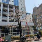 ヒメ日記 2025/03/27 13:29 投稿 ななせ 素人妻御奉仕倶楽部Hip's松戸店