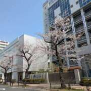 ヒメ日記 2025/03/27 14:18 投稿 ななせ 素人妻御奉仕倶楽部Hip's松戸店