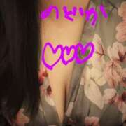 ヒメ日記 2025/01/29 10:24 投稿 のどか ニューヨークニューヨーク