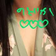 ヒメ日記 2025/02/27 16:31 投稿 のどか ニューヨークニューヨーク