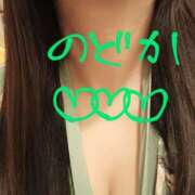 ヒメ日記 2025/03/17 13:09 投稿 のどか ニューヨークニューヨーク