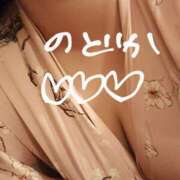 ヒメ日記 2025/03/29 10:27 投稿 のどか ニューヨークニューヨーク