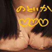 ヒメ日記 2025/04/14 09:38 投稿 のどか ニューヨークニューヨーク