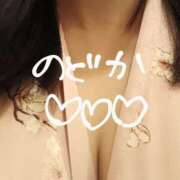 ヒメ日記 2025/04/14 17:46 投稿 のどか ニューヨークニューヨーク