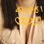 ヒメ日記 2025/04/17 09:59 投稿 のどか ニューヨークニューヨーク