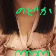 ヒメ日記 2025/04/18 00:05 投稿 のどか ニューヨークニューヨーク