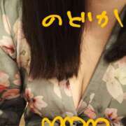 ヒメ日記 2025/04/25 00:19 投稿 のどか ニューヨークニューヨーク