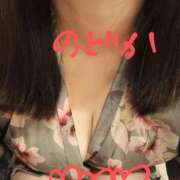 ヒメ日記 2025/04/26 09:23 投稿 のどか ニューヨークニューヨーク