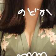 ヒメ日記 2025/05/09 10:58 投稿 のどか ニューヨークニューヨーク