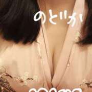 ヒメ日記 2025/05/24 17:25 投稿 のどか ニューヨークニューヨーク