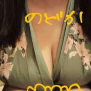 ヒメ日記 2025/05/28 09:26 投稿 のどか ニューヨークニューヨーク