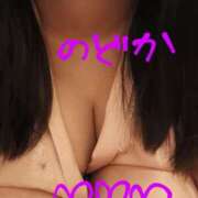 ヒメ日記 2025/06/06 09:53 投稿 のどか ニューヨークニューヨーク