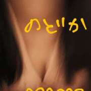 ヒメ日記 2025/06/06 18:41 投稿 のどか ニューヨークニューヨーク