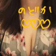 ヒメ日記 2025/06/28 17:35 投稿 のどか ニューヨークニューヨーク