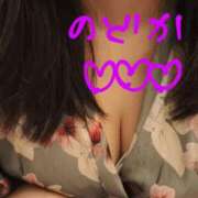 ヒメ日記 2025/07/16 16:59 投稿 のどか ニューヨークニューヨーク