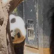 ヒメ日記 2025/11/14 10:09 投稿 のどか ニューヨークニューヨーク