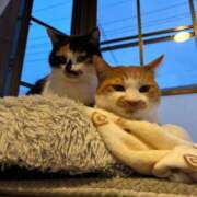 ヒメ日記 2025/01/15 10:16 投稿 ことは 鶯谷デリヘル倶楽部