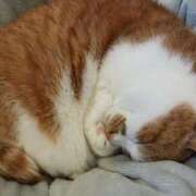 ヒメ日記 2025/01/27 13:39 投稿 ことは 鶯谷デリヘル倶楽部