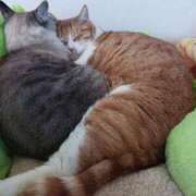 ヒメ日記 2025/02/06 12:08 投稿 ことは 鶯谷デリヘル倶楽部