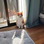 ヒメ日記 2025/02/15 13:51 投稿 ことは 鶯谷デリヘル倶楽部