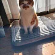 ヒメ日記 2025/02/17 17:49 投稿 ことは 鶯谷デリヘル倶楽部