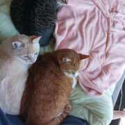 ヒメ日記 2025/03/13 10:25 投稿 ことは 鶯谷デリヘル倶楽部