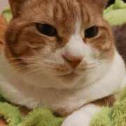 ヒメ日記 2025/03/18 17:45 投稿 ことは 鶯谷デリヘル倶楽部