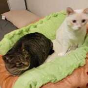 ヒメ日記 2025/03/22 11:26 投稿 ことは 鶯谷デリヘル倶楽部